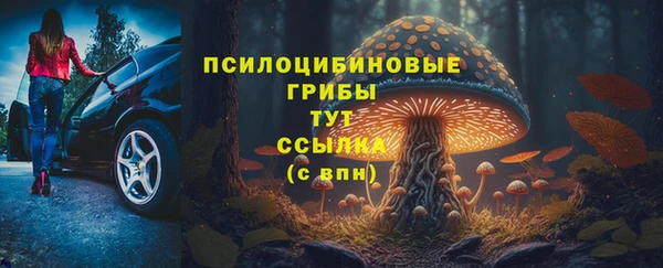 скорость Елизово