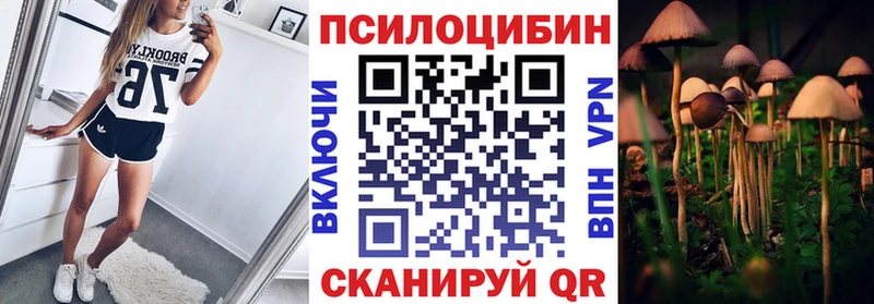 Галлюциногенные грибы GOLDEN TEACHER  Купить где  Каменногорск 